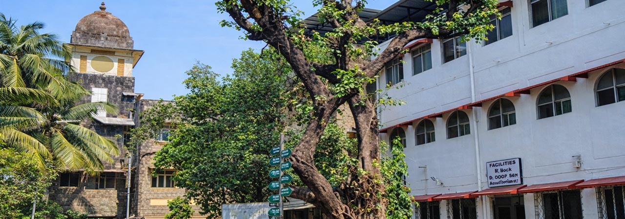 M. A. Podar Hospital, Worli, Mumbai
