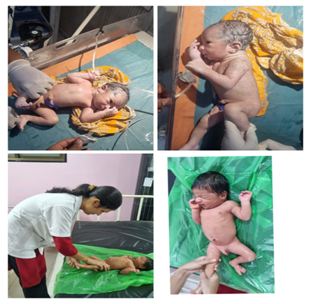 Vaccination and neonatal care (1) Vaccination and neonatal care (1)